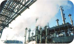 ���ܻ����糧��Ŀ